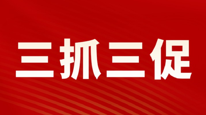 三抓三促进行时丨完美（中国）文旅集团召开重点项目调度会