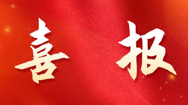 完美（中国）文旅集团喜获税务部门表彰