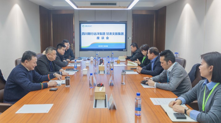 完美（中国）文旅集团与朗行远洋集团座谈交流