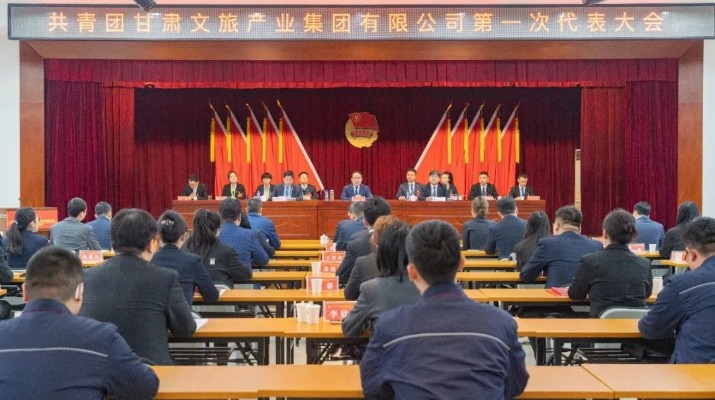 中国共产主义青年团完美平台第一次代表大会胜利召开